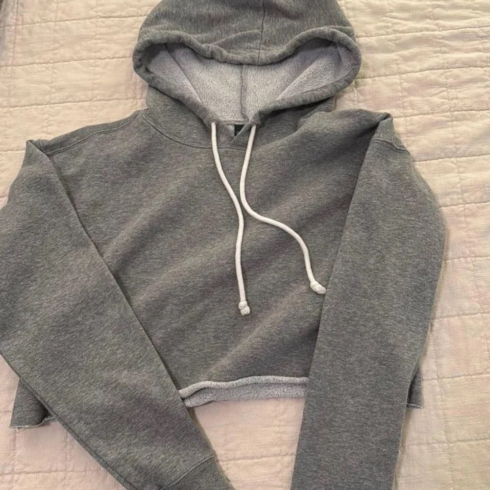 Wild Fable Gray Cropped Relaxed Hoodie